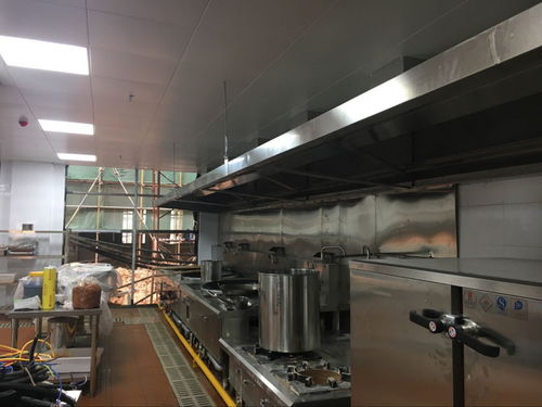 高效净化厨房油烟，打造绿色餐饮环境 沙井厨房油烟净化器、不锈钢烟罩及深圳排烟净化工程首选旭恒餐饮服务